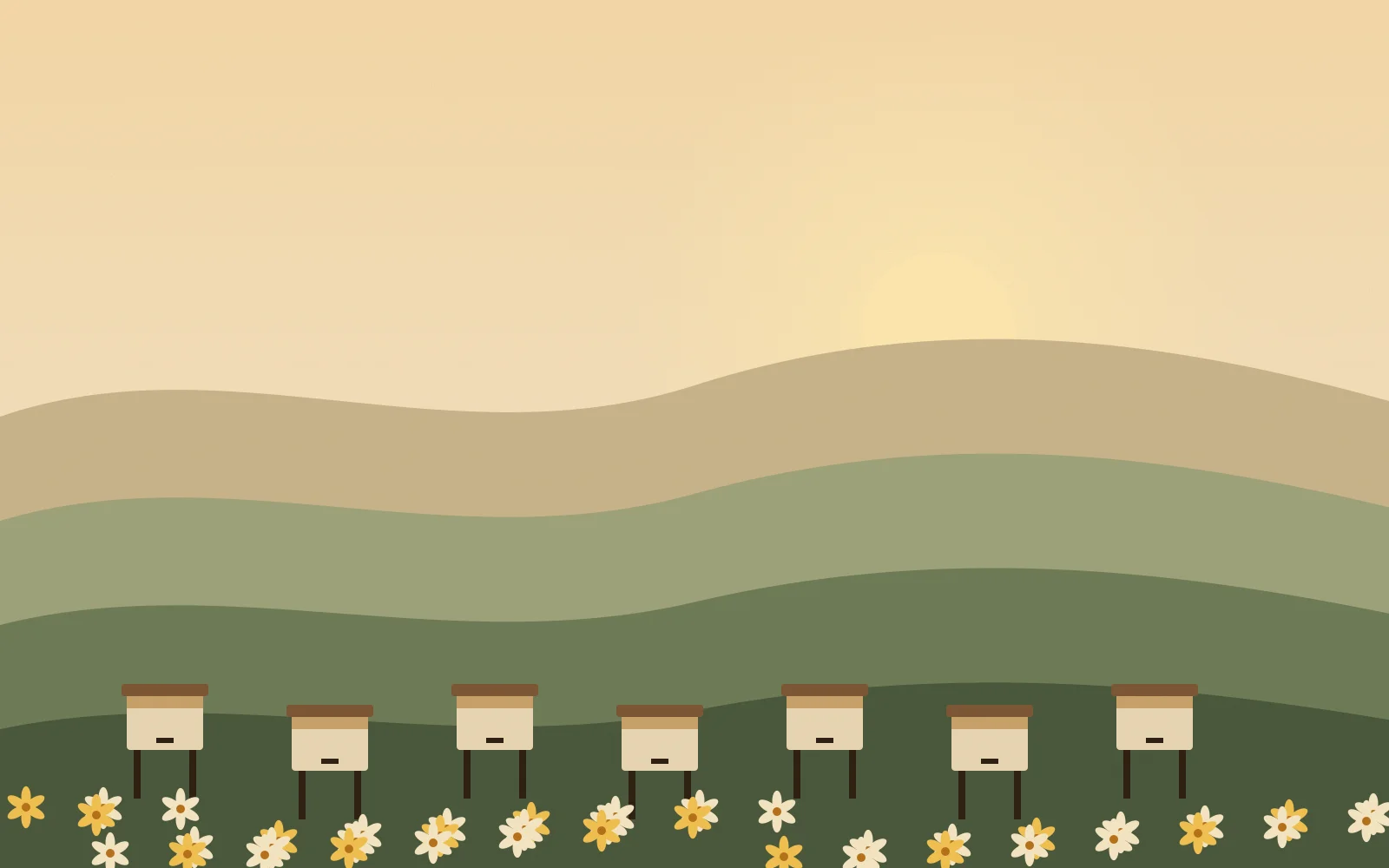 Our apiaries at dawn
